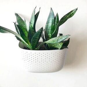 Wallygrow Wall Planter